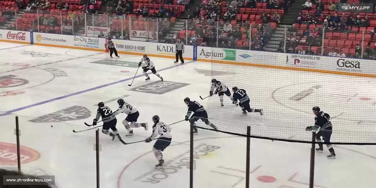 乐鱼——跳跃吧,让世界看见你的高度!